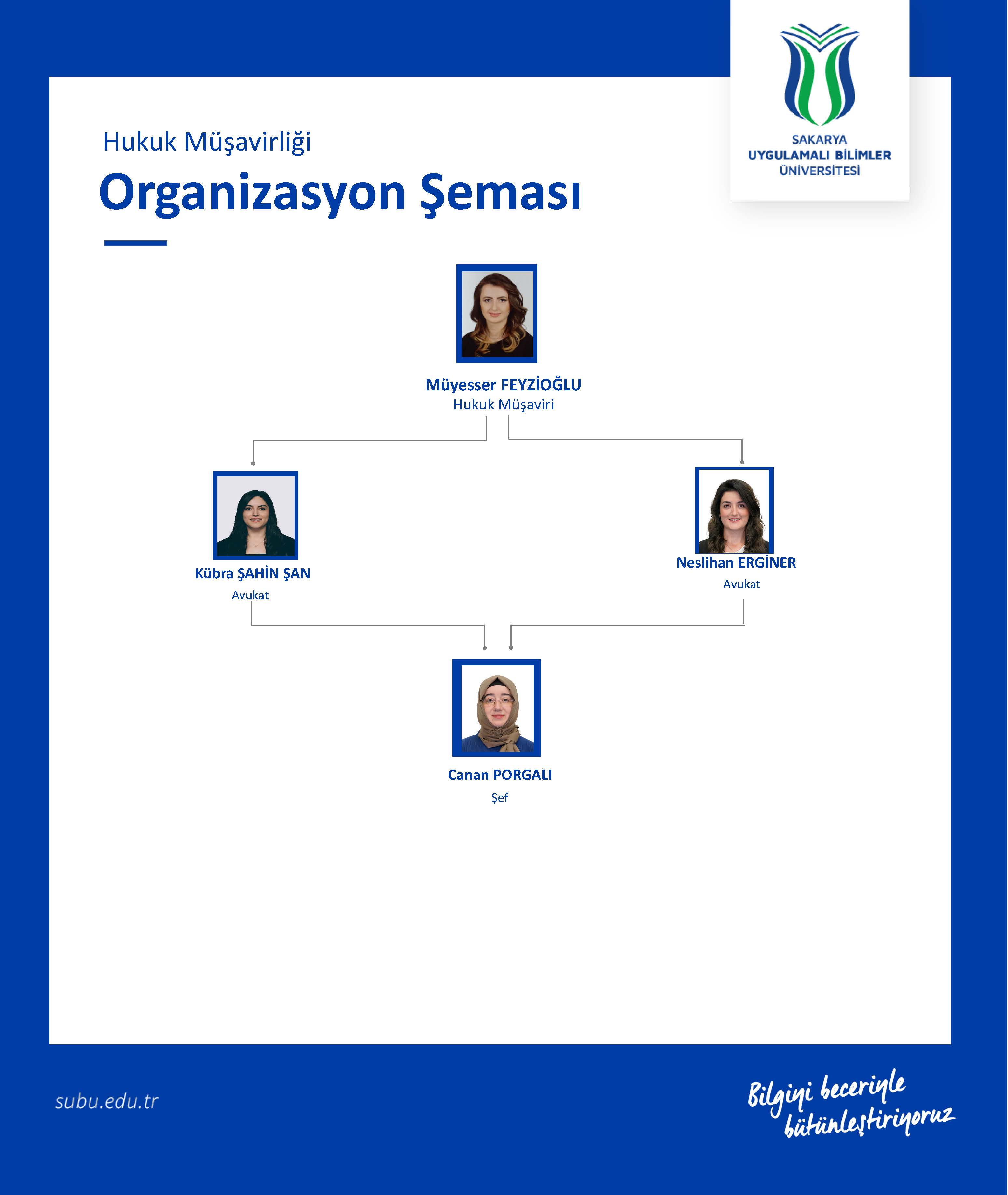 organizasyon şeması